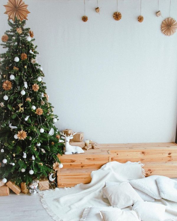 Новогодние фотостудии в Одессе