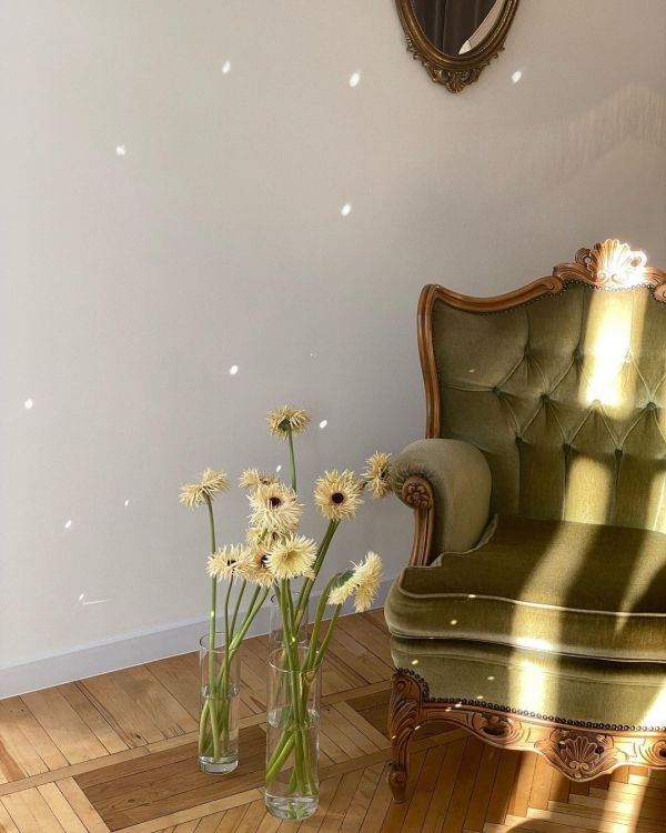 Новогодние локации фотостудий в Виннице