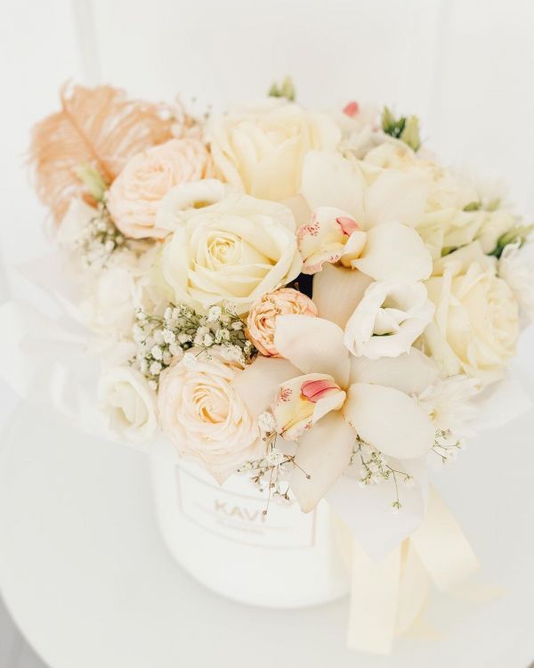 Новогодние локации фотостудий в Виннице