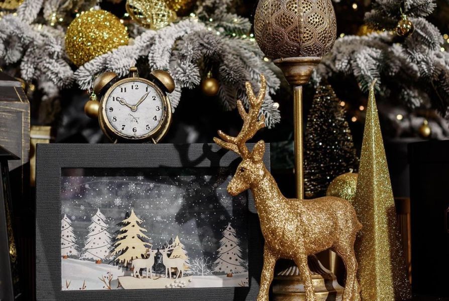 Новогодние локации фотостудий Львова