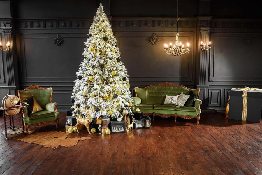 Новогодние локации фотостудий Львова