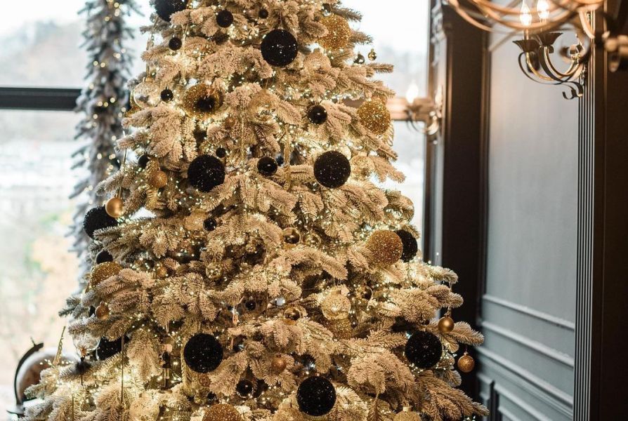 Новогодние локации фотостудий Львова