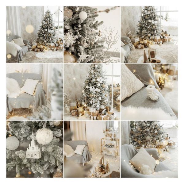 Новогодние фотостудии Хмельницкий