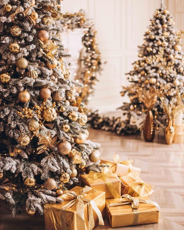 Новогодние локации фотостудий в Виннице