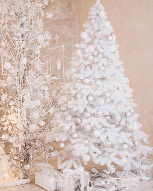 Новогодние локации фотостудий в Виннице