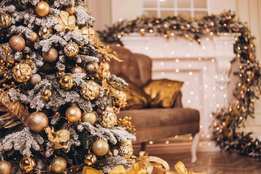 Новогодние локации фотостудий в Виннице