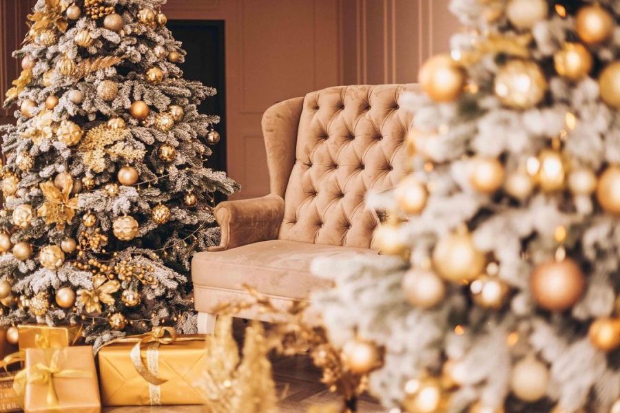 Новогодние локации фотостудий в Виннице