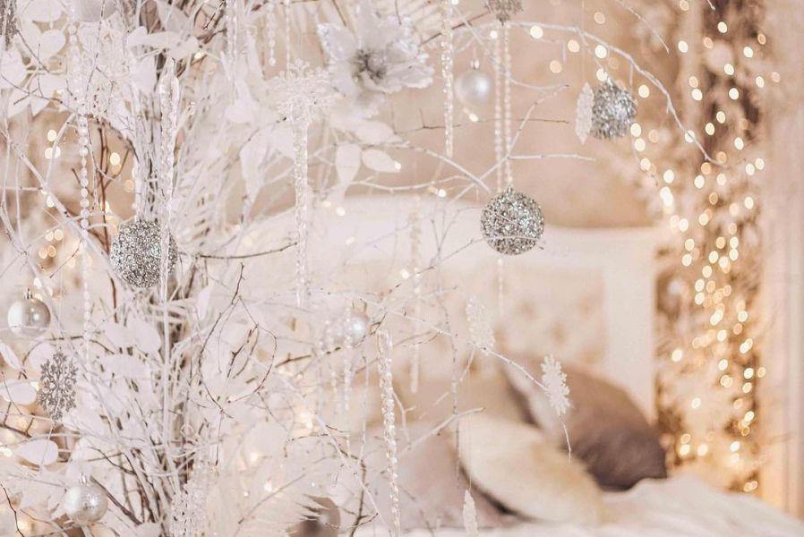 Новогодние локации фотостудий в Виннице