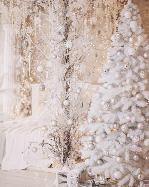 Новогодние локации фотостудий в Виннице