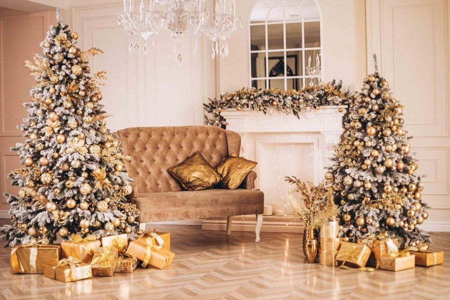 Новогодние локации фотостудий в Виннице