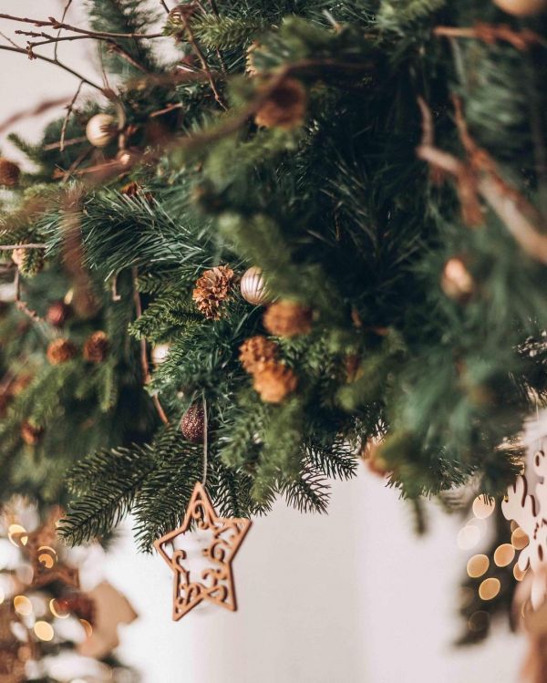 Новогодние локации фотостудий в Виннице