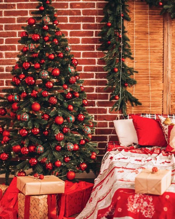 Новогодние локации фотостудий в Виннице