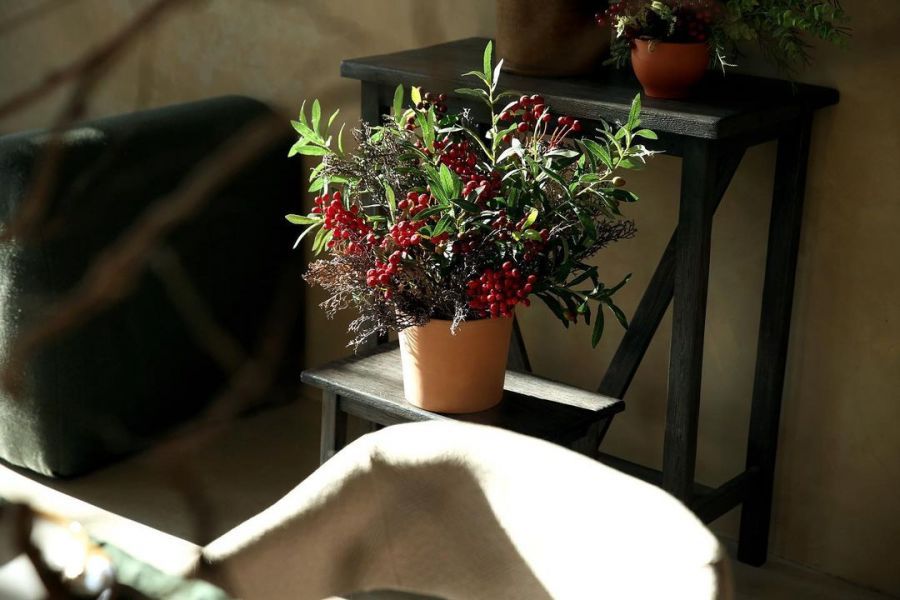 Новогодние фотостудии в Одессе