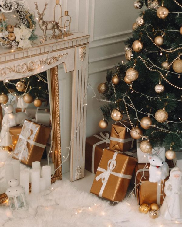 Новогодние фотостудии Хмельницкий