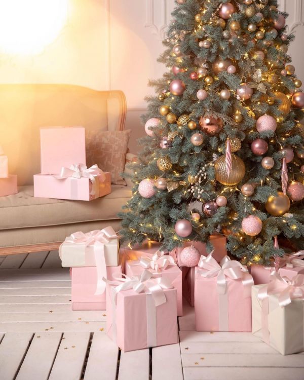 Новогодние локации фотостудий в Виннице