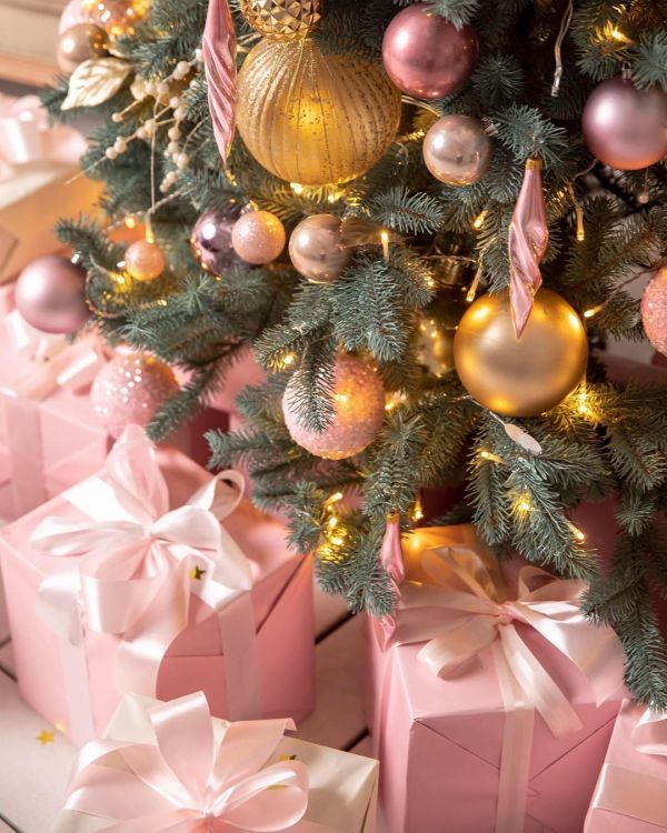 Новогодние локации фотостудий в Виннице