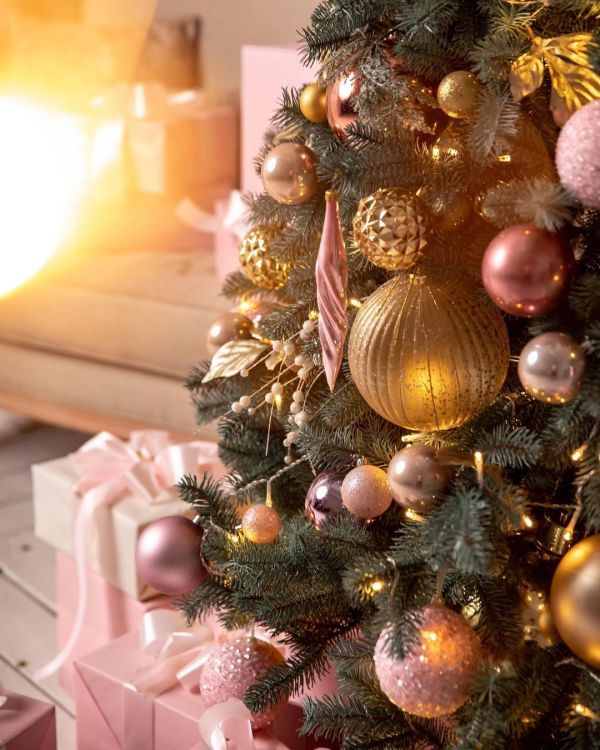 Новогодние локации фотостудий в Виннице