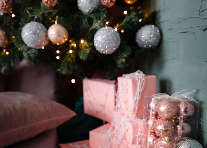 Новогодние фотостудии Хмельницкий