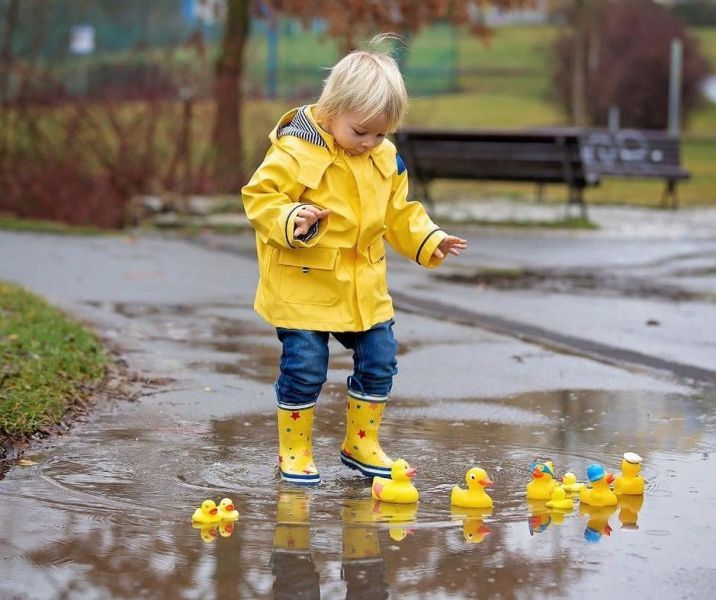 Частные сады Львов по районам: рейтинги, обзоры и цены