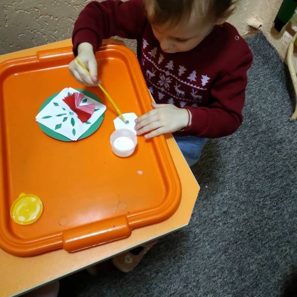 Обзор частных садов Житомира: цены и услуги