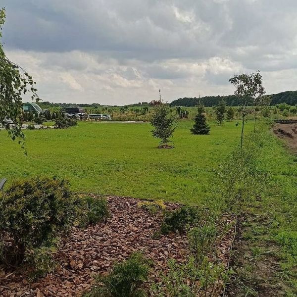 Эко-фермы и поля Киевской области: гастротур