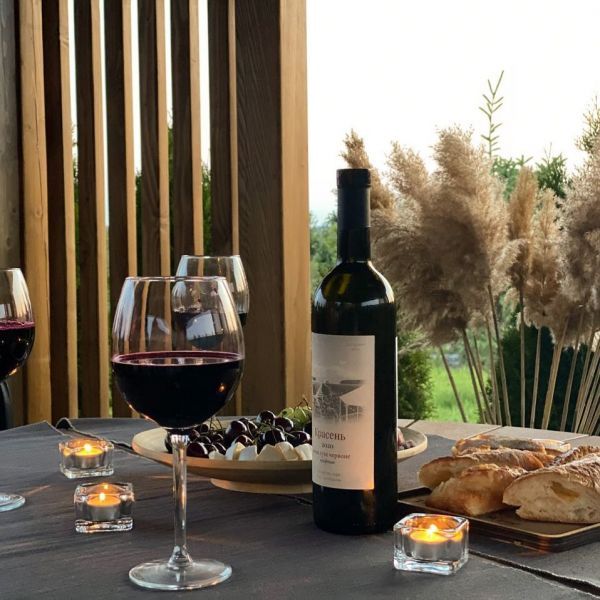 Эко-фермы и поля Киевской области: гастротур