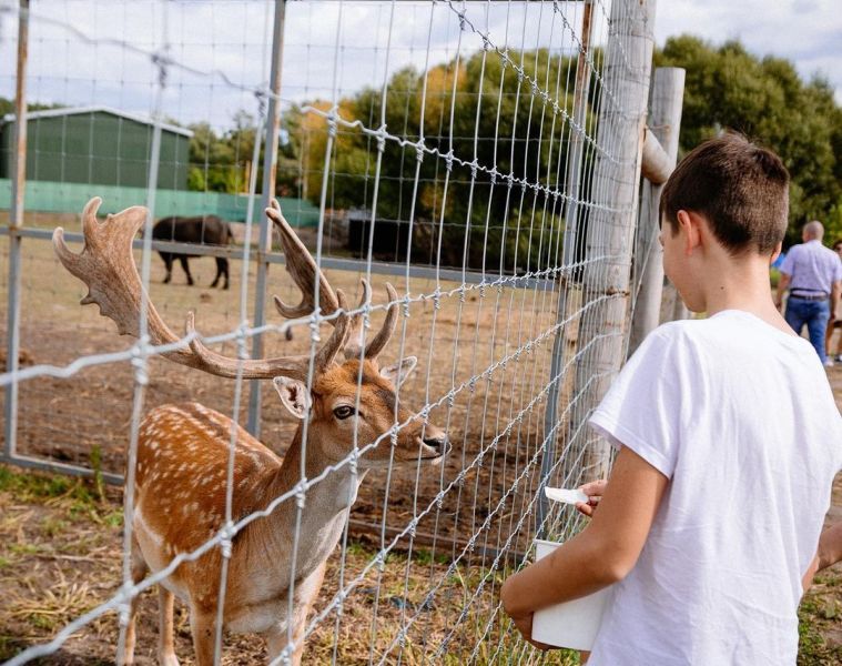 Эко-фермы и поля Киевской области: гастротур