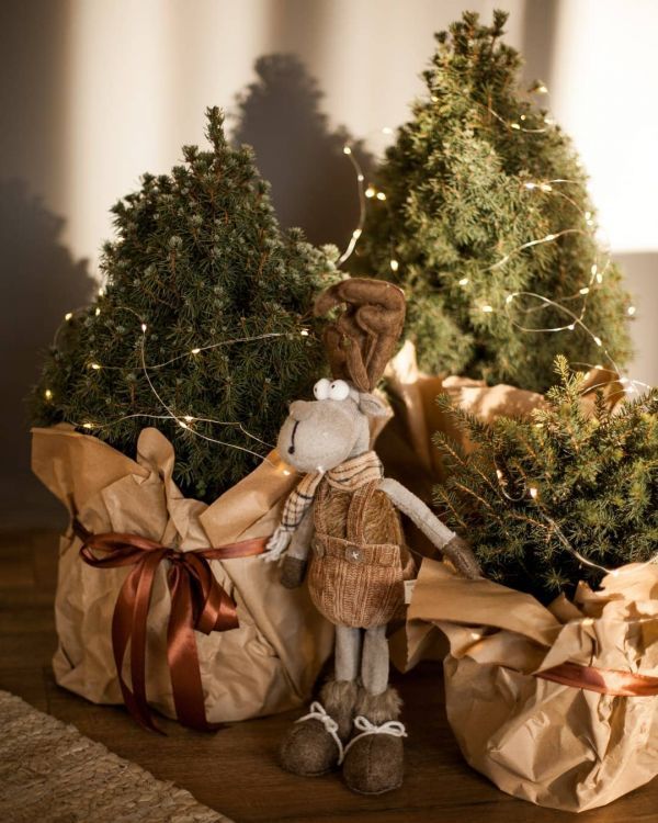 Новогодние фотостудии Хмельницкий